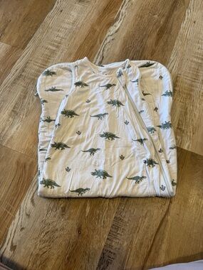 Kyte Baby Sleep Sack with Green Dinosaur Print